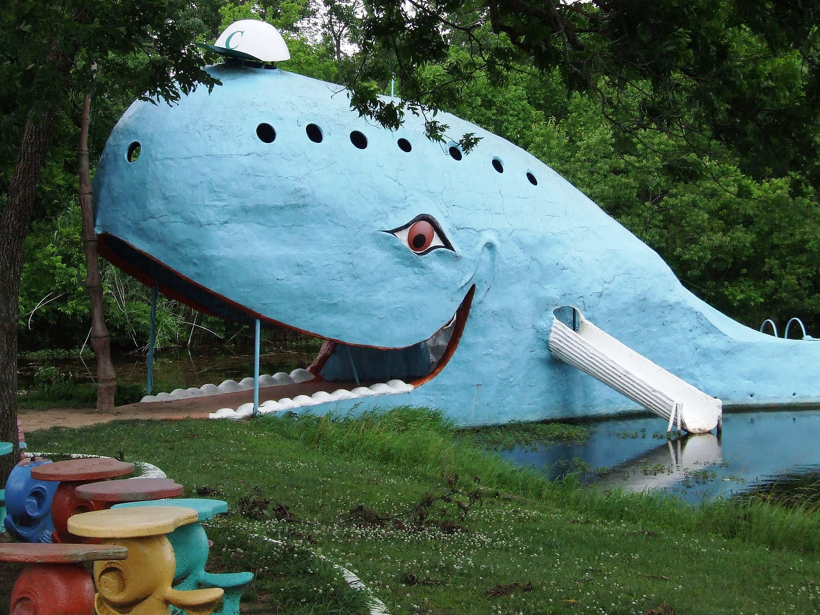 Catoosa Blue Whale